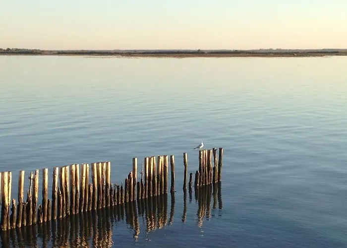 Au Calme, Maison T3 Neuf Avec Jardin A Cassy * Lanton